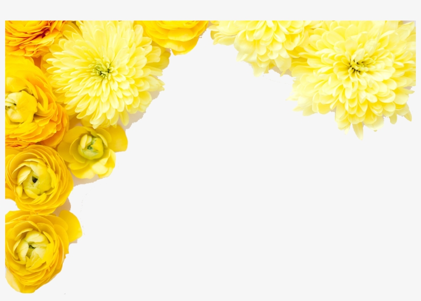 3d Flowers Png Pics - Flower, transparent png #2479684