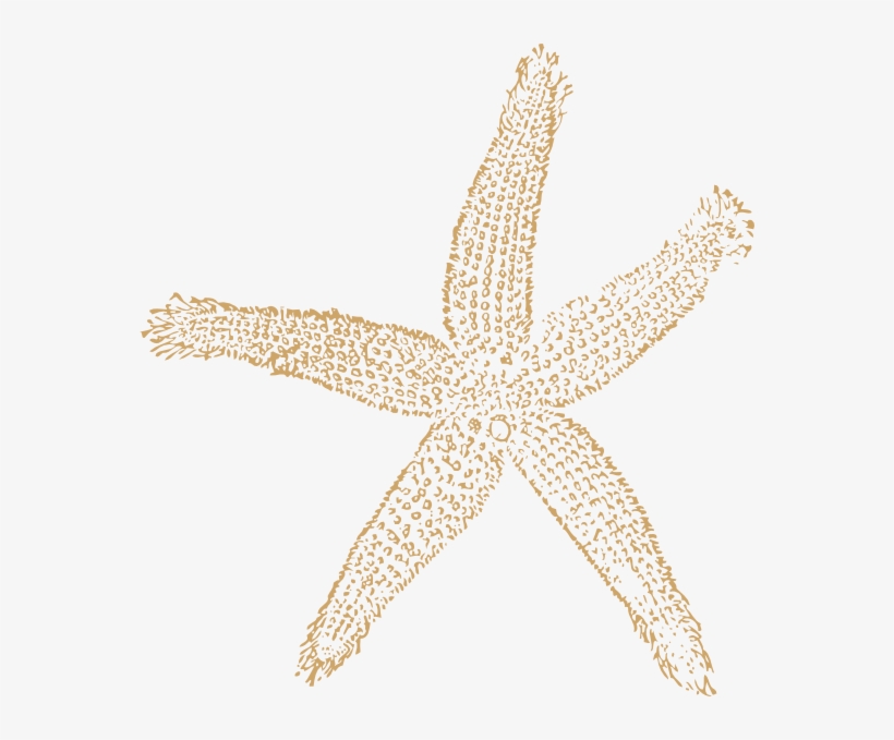 Beach Starfish For Wedding Clip Art At Clker - Fish Clip Art, transparent png #2479833