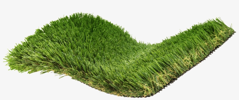 North Atlantic Inspired - Lawn, transparent png #2480138