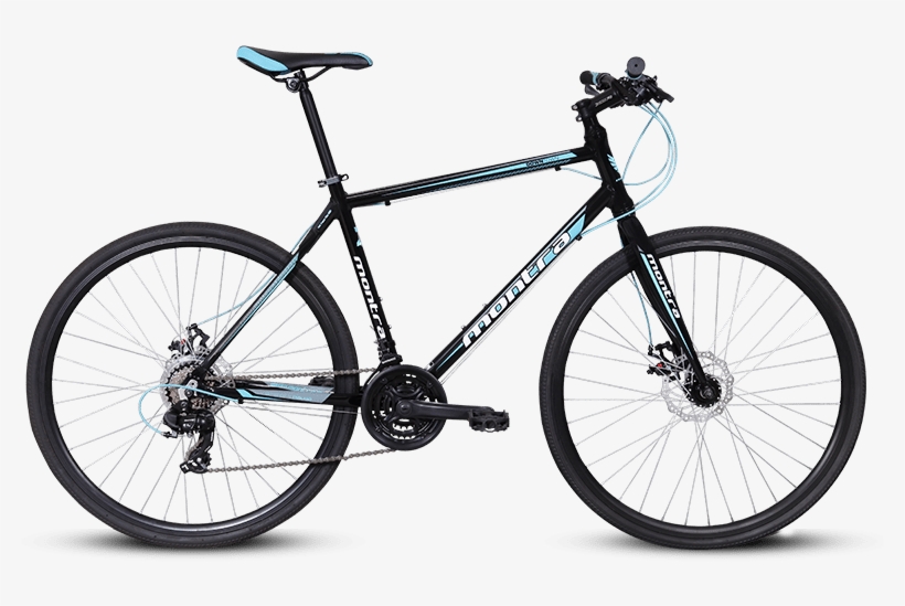 Barracuda Draco, transparent png #2480342