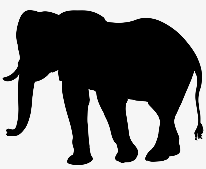 Clipart Library Library Asian Different Pencil And - Elephant Silhouette Png, transparent png #2481368