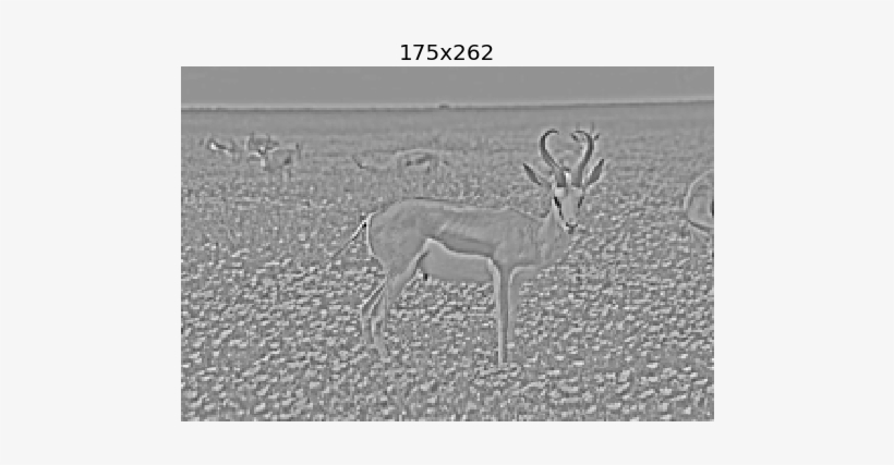 Some Images From The Laplacian Pyramid - Elk, transparent png #2482523