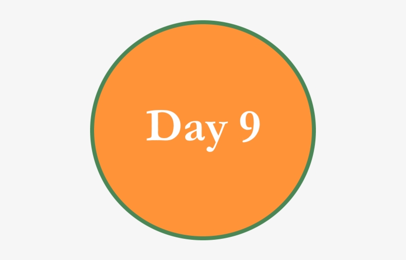 Kumartoli Potter'svillage, Where The Images Of The - Circle, transparent png #2482551