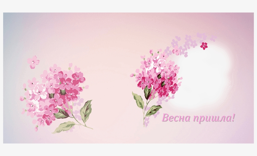 花 矢量, transparent png #2482889