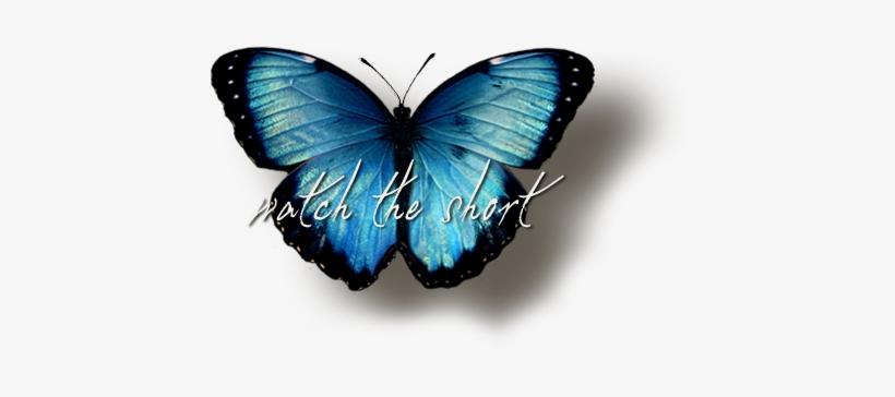 Butterfly Butterfly-hover - Blue Butterfly, transparent png #2483566