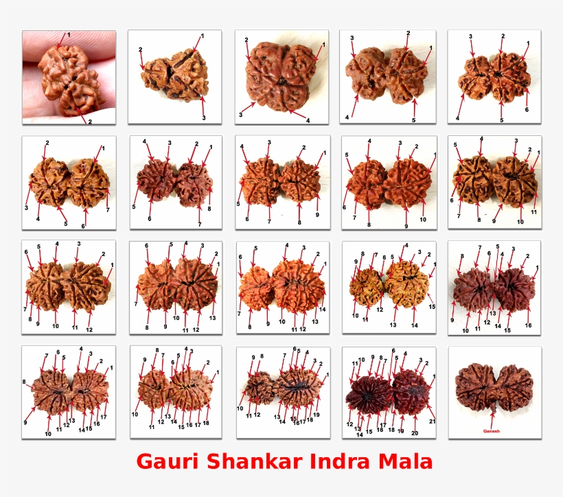 10% Off On Selected Items - Paprika, transparent png #2483776