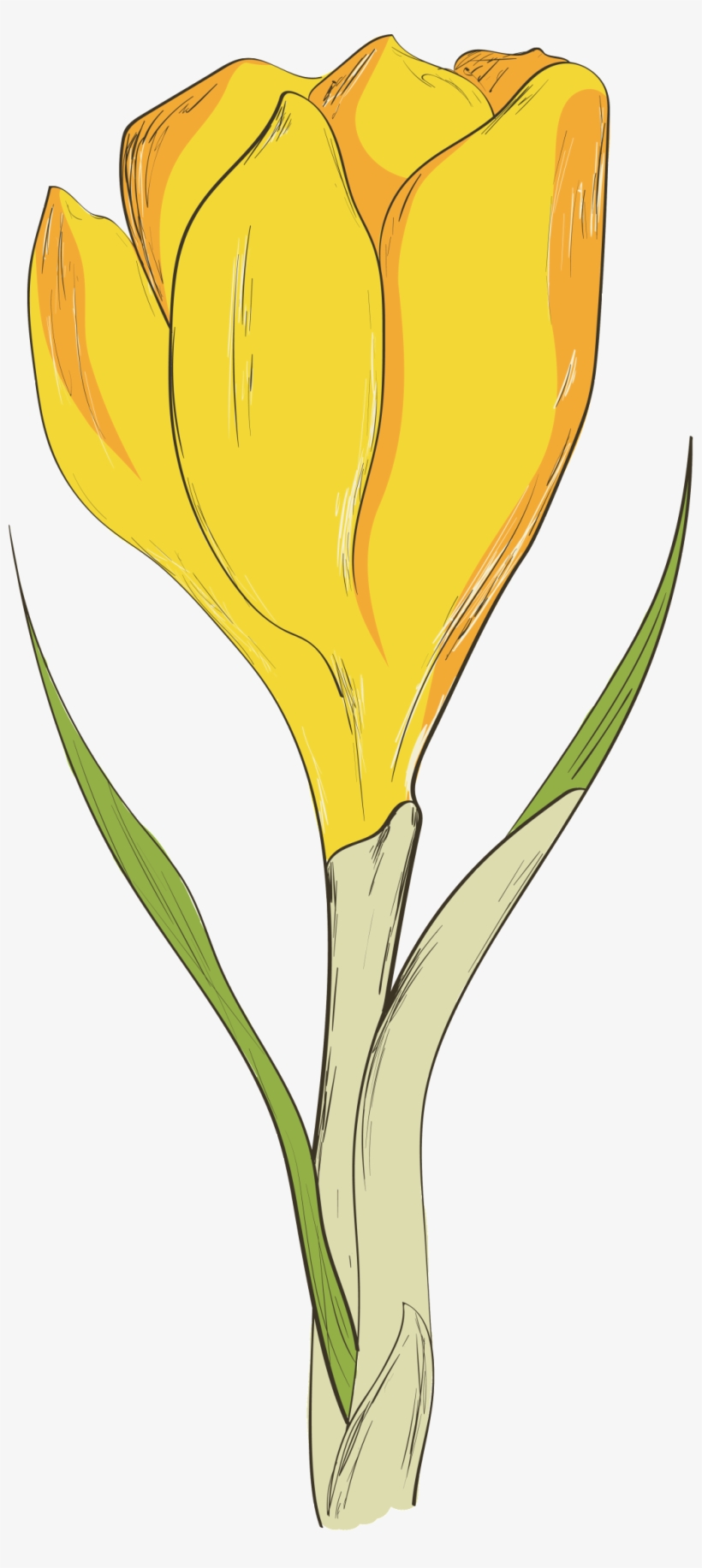Yellow Flower Transparent Flower To Be Placed - Flower, transparent png #2484073