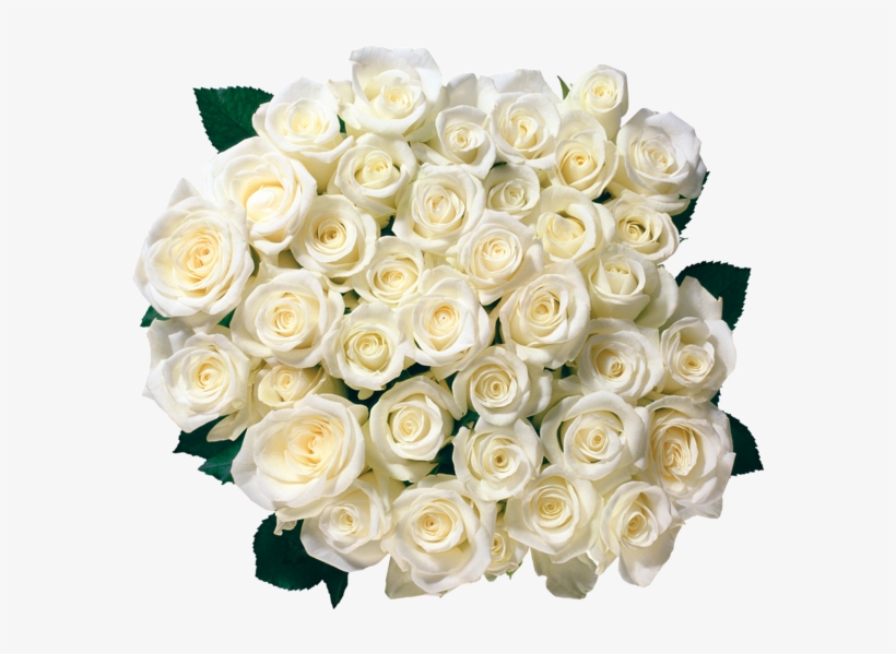 Flowers Clipart Birthday Roses, Order Flowers, Send - White Roses Border Png, transparent png #2484571