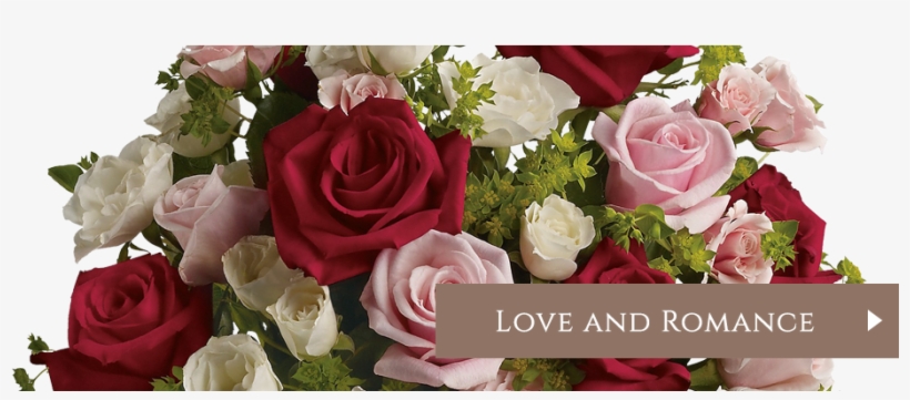 Roses Flowers Online - Love Letters - Flowers Delivered, transparent png #2484597