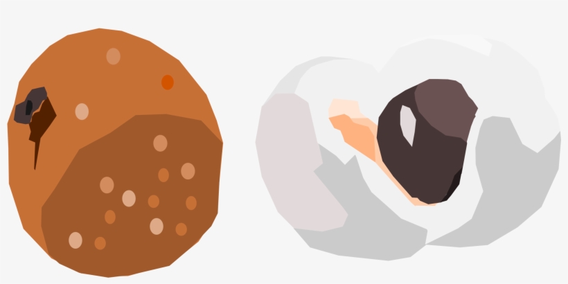 This Free Icons Png Design Of Longan Fruit, transparent png #2484866