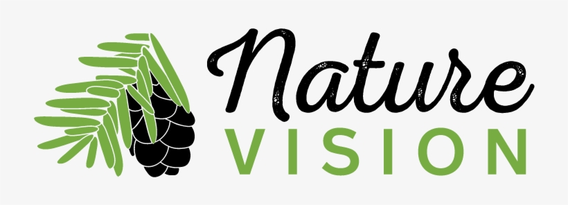 Send By Mail - Png Text About Nature, transparent png #2485113