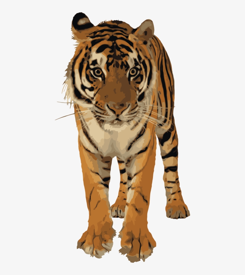 Roaring Tiger Png - Royal Bengal Tiger Png, transparent png #2485377