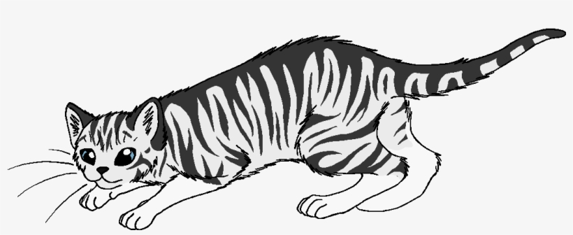 Warrior Drawing Tiger - Warrior Cats Wildfur, transparent png #2485410
