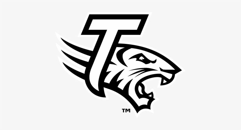 Format - Towson Tigers Png, transparent png #2485531