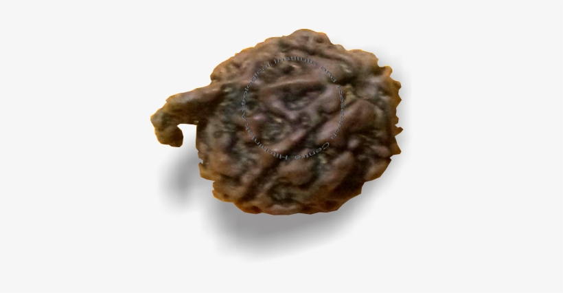 Ganpati Rudraksh - Chocolate, transparent png #2485859