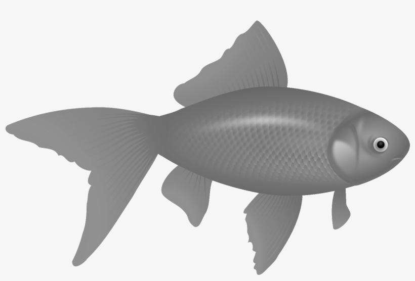 Fish Nine - Transparent Background Logo Png, transparent png #2486538