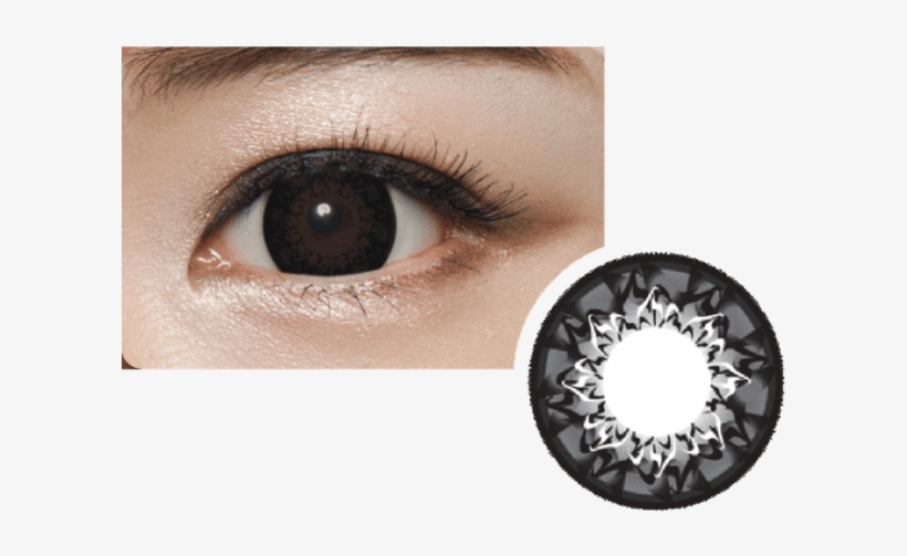Geolica Circle Contact Sin Chew Optics Cafe - Geo Mimi Cappuccino Brown, transparent png #2486623