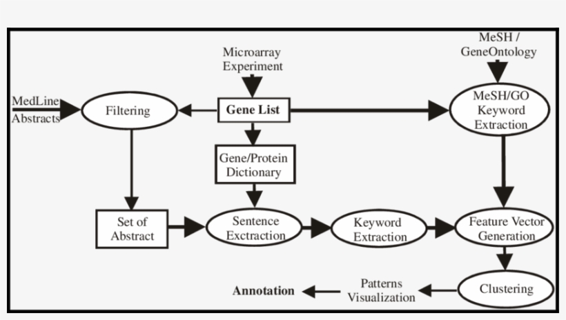Experimental Design Of Gene Clustering With Sentences-level, - Diagram, transparent png #2486941