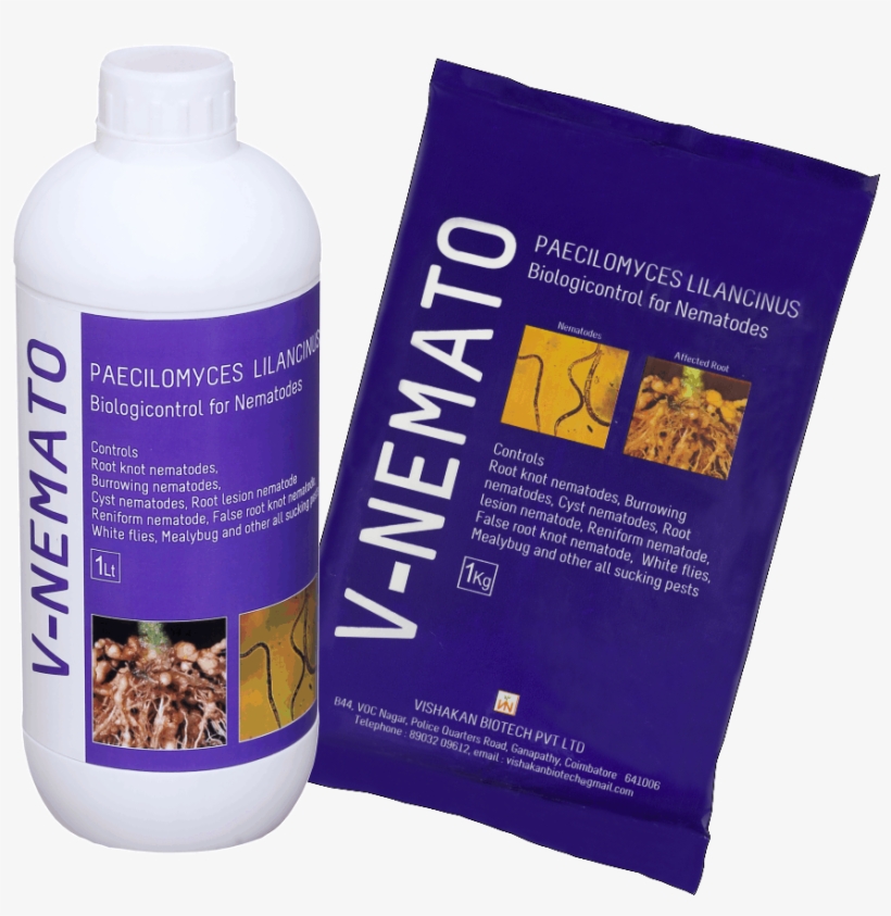 V-nemato - Carpenter Ant, transparent png #2486963