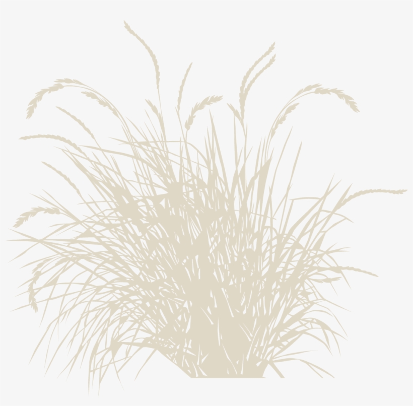 4 Revegetation Plan Example - Vector, transparent png #2486993