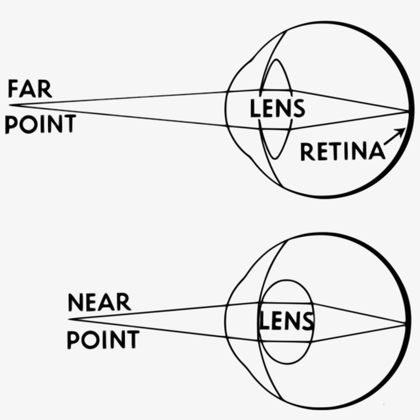 Accommodation Eye, transparent png #2487117