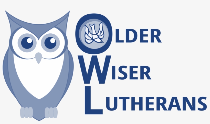 Owls Logo V2 - Cartoon Owl Birds Png, transparent png #2487703
