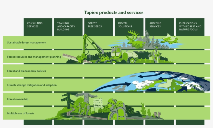 Products And Services - Artificial Turf, transparent png #2487730