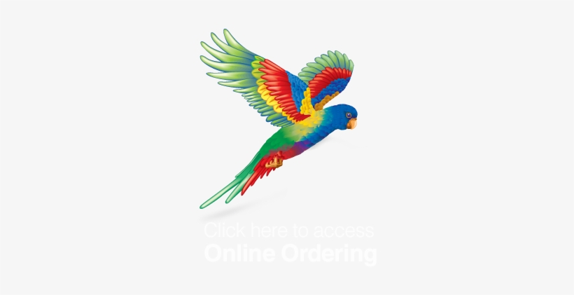 Onlineorderbutt - Flying Colours Png, transparent png #2487852
