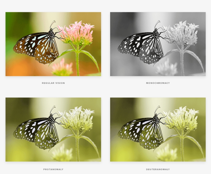 Colours - Butterfly-amazing Paintings-25, transparent png #2488002