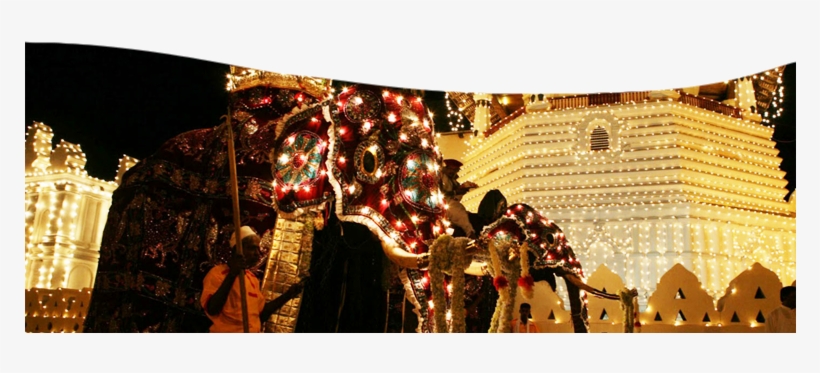 Kandy Perahera 2018, transparent png #2488070