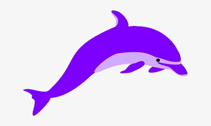 Image - Dolphin National Aquatic Animal Of India, transparent png #2488265
