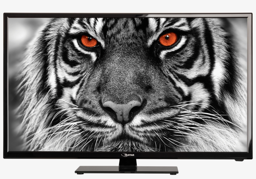 Assets/uploads/ Resampled/setratio13085 Tvstar Led - Black And White Close Up Tiger, transparent png #2489813