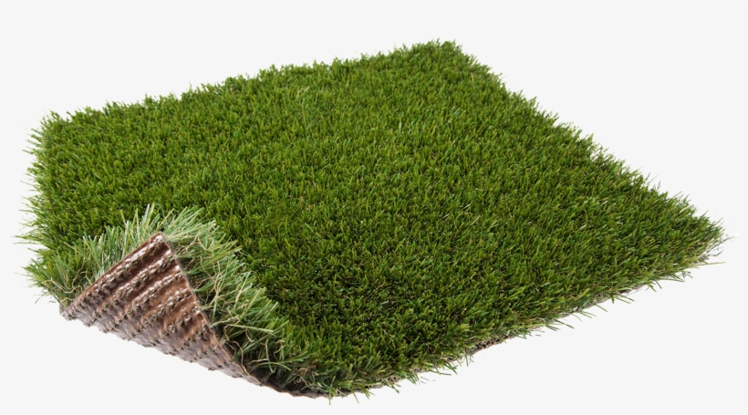 Our Best Selling Grass By Far, A Great Grass For Any - Green, transparent png #2490355