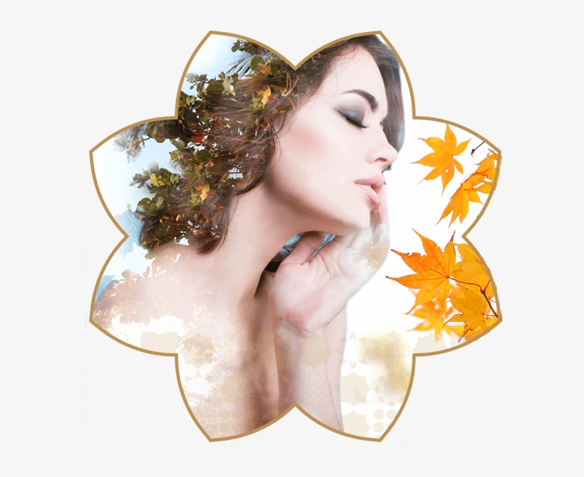 Cum Ne Pregatim Organismul Pentru Sezonul Rece - Proposal, transparent png #2490960