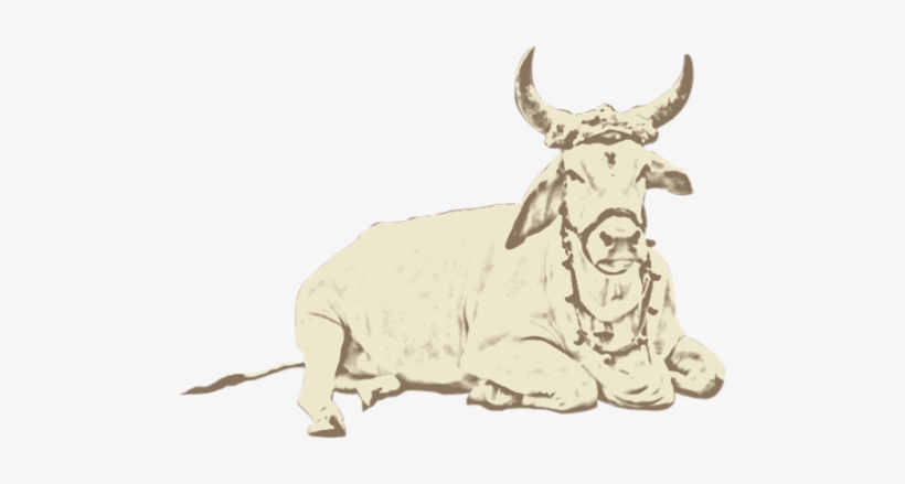 Indian Cow Ghee - Sales, transparent png #2492801