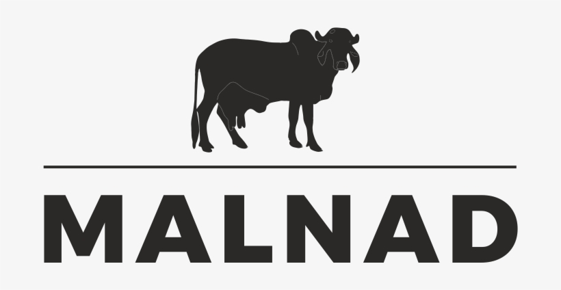 Home - Indian Cow Graphics, transparent png #2492803