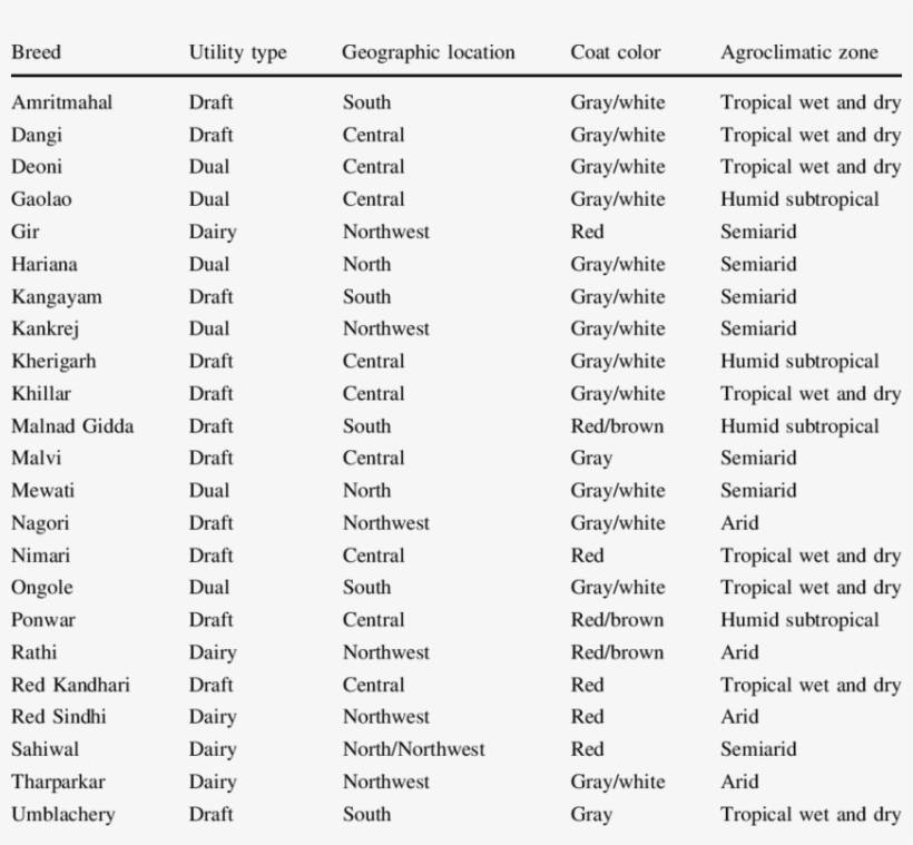 Characteristics Of 23 Indian Zebu Cattle Breeds Included - Zebu, transparent png #2492963