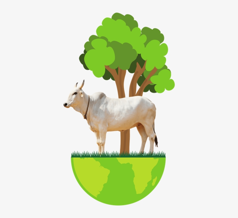 Feature Image - Illustration, transparent png #2493255