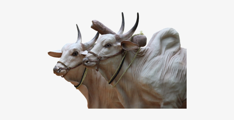 Indian Ox Sculpture, transparent png #2493463