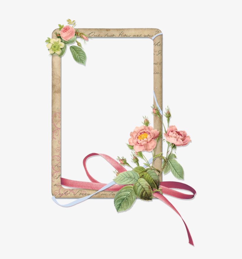 Décorations Diverses Flower Border Png, Floral Border, - Looks Like A Page Out Of A Garden Magazine This Lovely, transparent png #2494852