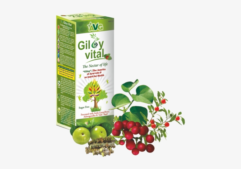 Wonderful Uses Of Neem Karela Jamun And Giloy For Health - Giloy Juice, transparent png #2494961