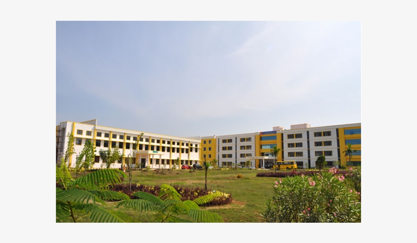 Venkateswara Nursing College, Chennai - Venkateswara Nursing College Chennai, transparent png #2496415