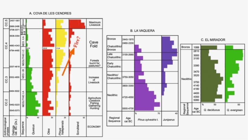 Charcoal Analysis Sequences From Three Caves With Long-term - Diagram, transparent png #2497848