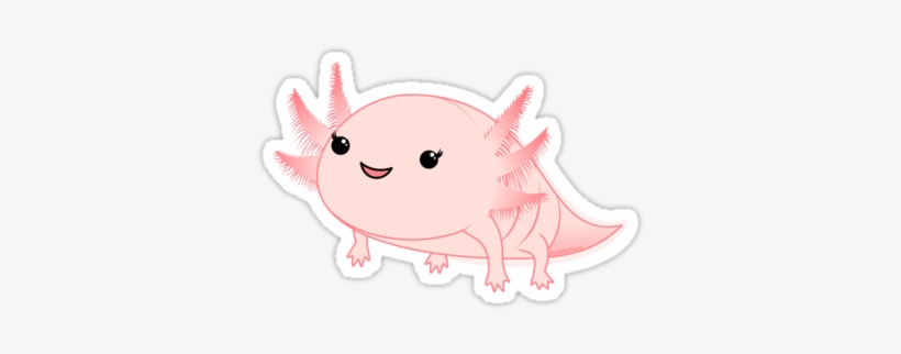 Axolotl Baby Kawaii By Pendientera - Stickers De Ajolotes - Free  Transparent PNG Download - PNGkey
