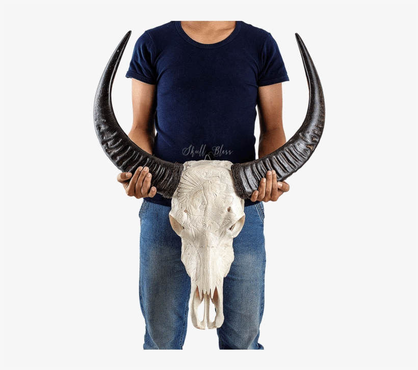 Carved Buffalo Skull - Skull, transparent png #2498569