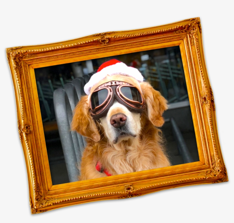 Huge Spect Icon - App Store, transparent png #2499107