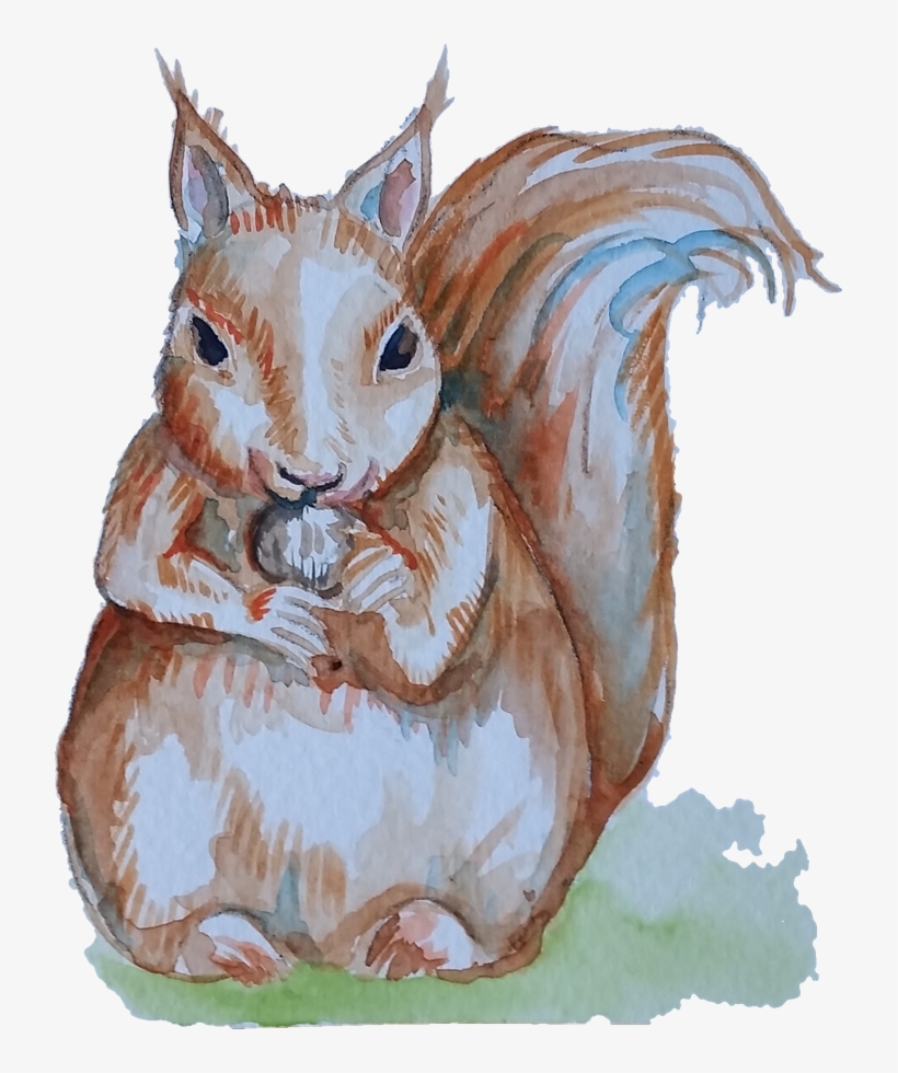 Closeup Of A Squirrel - Squirrel, transparent png #250222