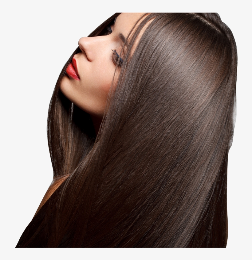 Ladies Hair Style Png PNG Image  Transparent PNG Free Download on SeekPNG