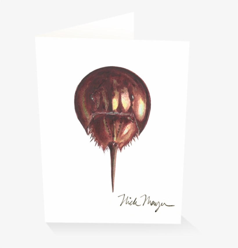 Horseshoe Crab - Crab, transparent png #250738