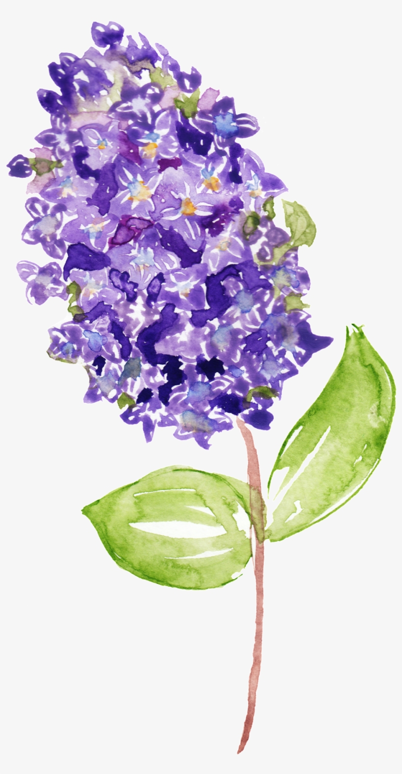 Purple Flower Branch Decoration Vector About Flowers,green - Lilac, transparent png #250969